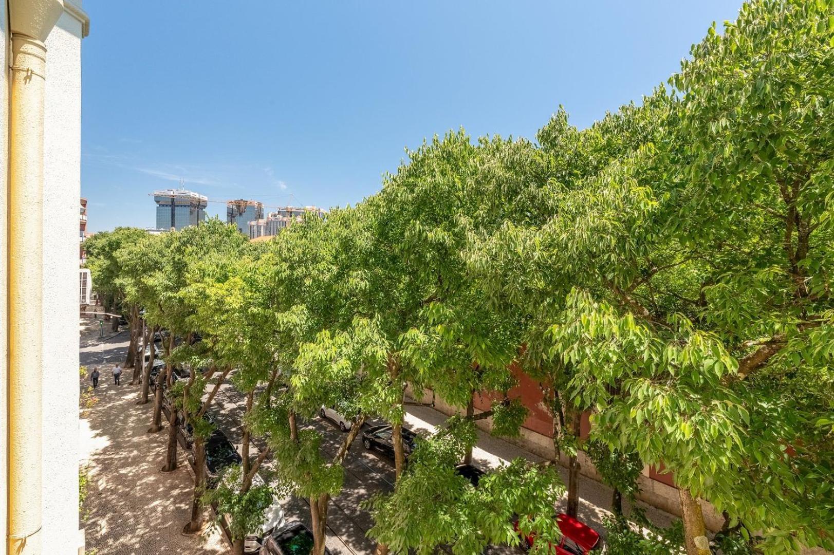 Eco Luxury Lisboa-campo De Ourique Apartment *